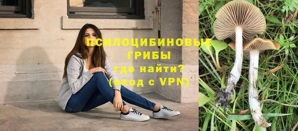 дживик Балабаново