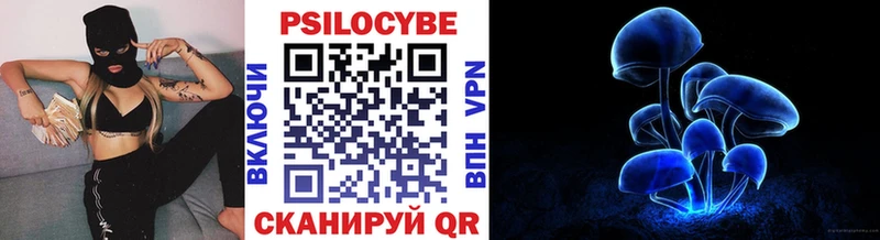 mega tor Грайворон Галлюциногенные грибы MAGIC MUSHROOMS