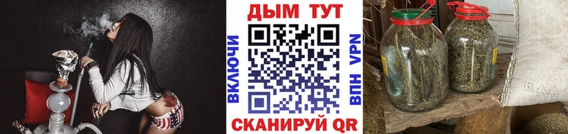 Бошки Шишки Amnesia  Грайворон 